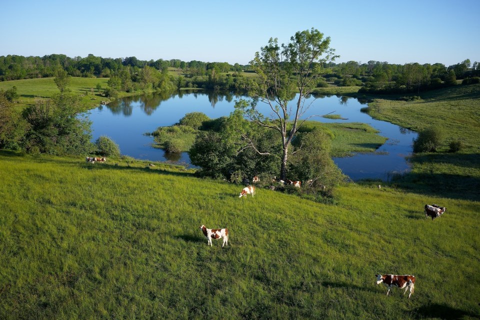 Etang d'Arsure-Arsurette