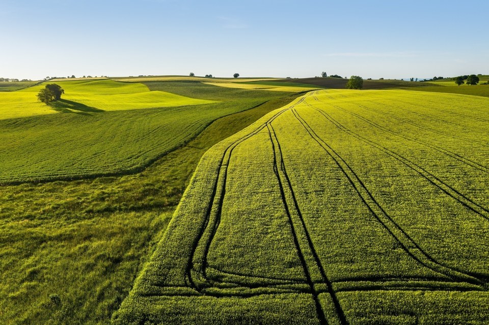 Paysage du Premier Plateau