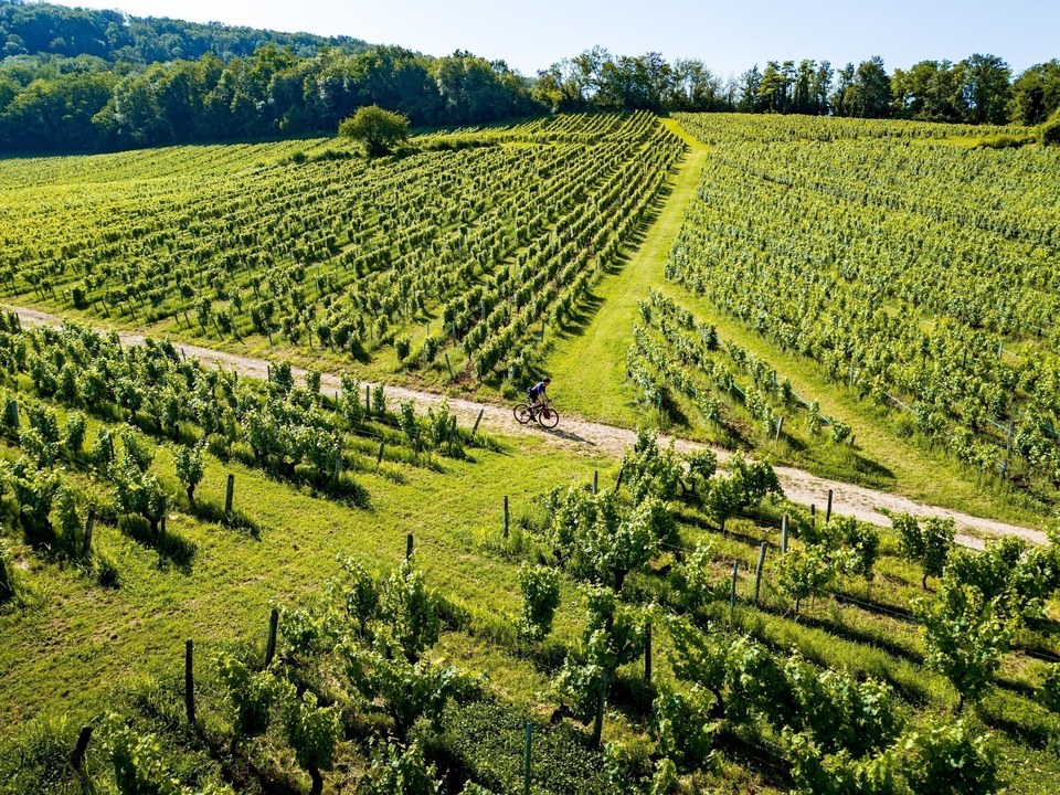 Tour du Jura Vélo Loisirs – Option Gravel : Port-Lesney – Poligny
