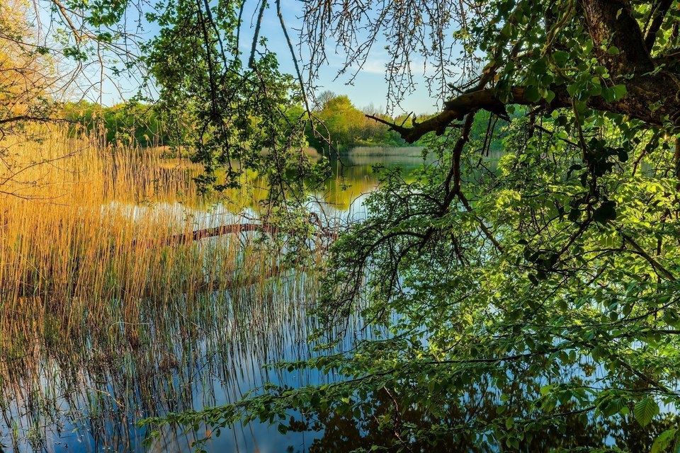 Le sentier Jacquot