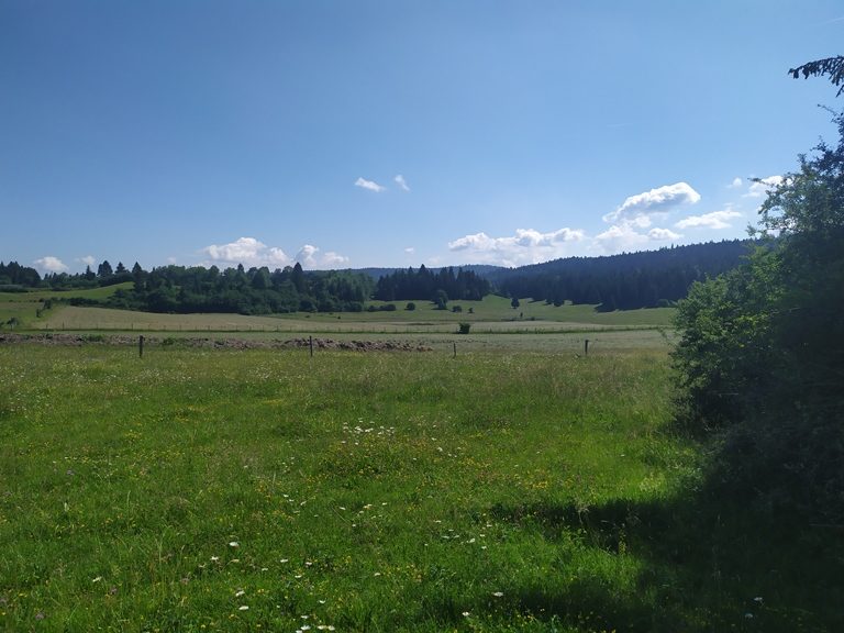 Balade dans les pâturages du Haut-Jura