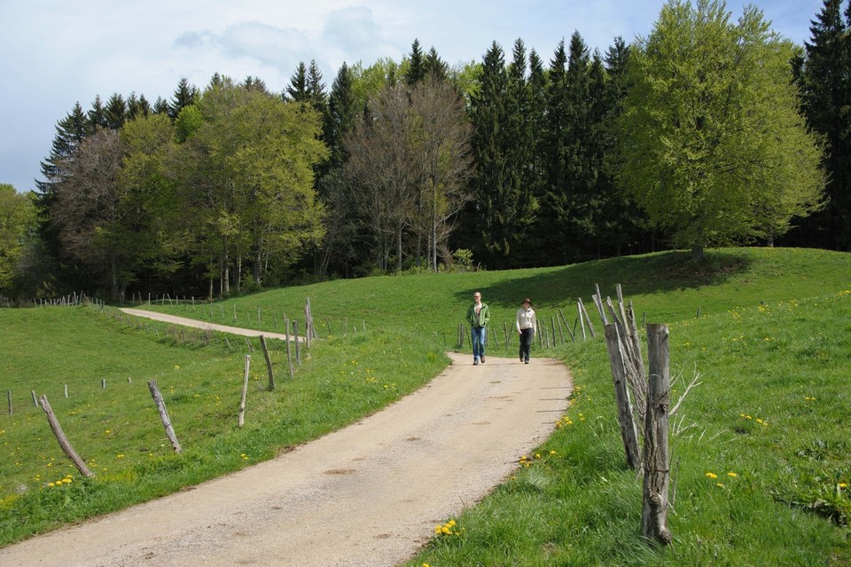 Randonnée La Source à Saint-Laurent en Grandvaux
