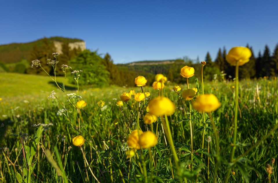 Tour du Mont Fier - 21R