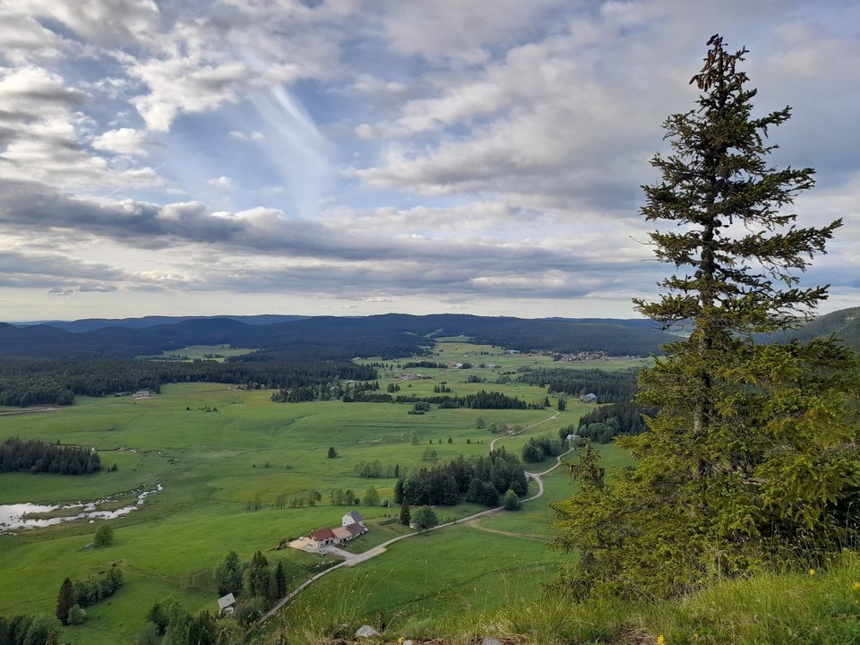 Chaux Sèche - La Roche Bernard