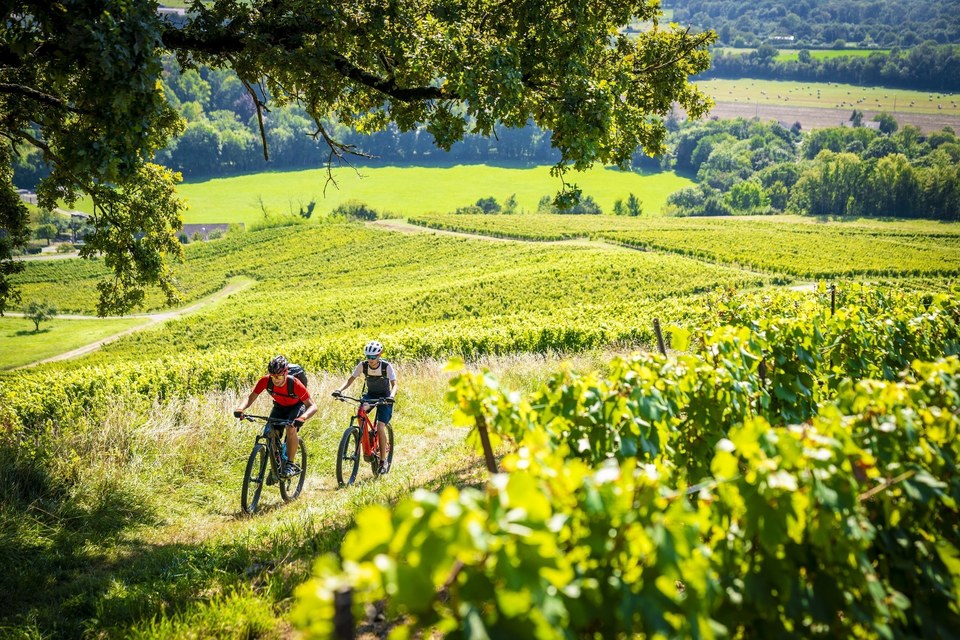 Menétru-le-Vignoble