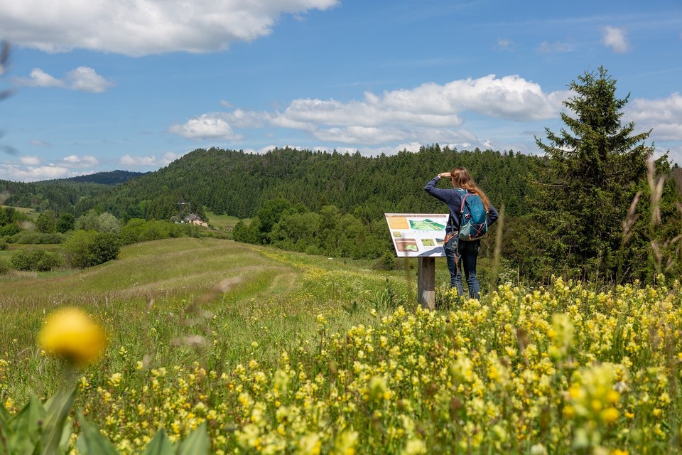 Tourbière de Nanchez Prénovel