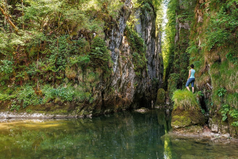 Les gorges de la Langouette