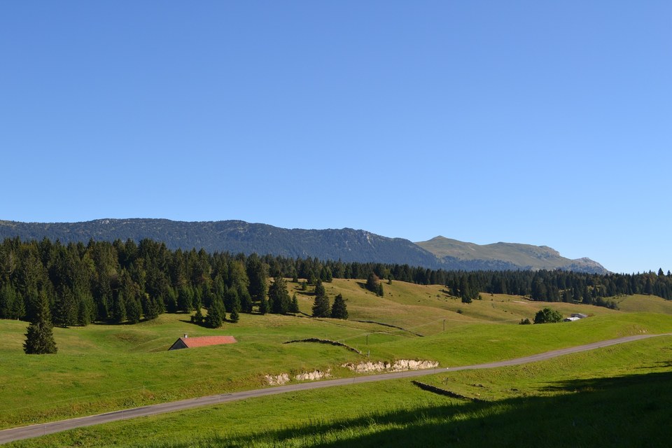 Les Molunes dans les Hautes-Combes