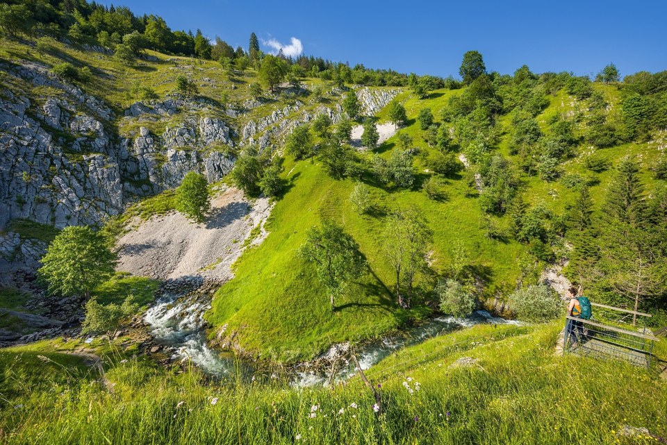 Source de la Saine