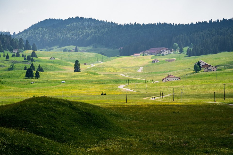 Les Bellecombes - Hautes-Combes