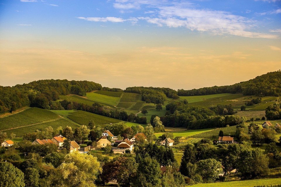 Vignes et village de l'Etoile
