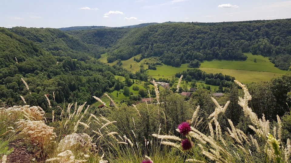 Belvédère de la Guillotine - Vue sur Revigny