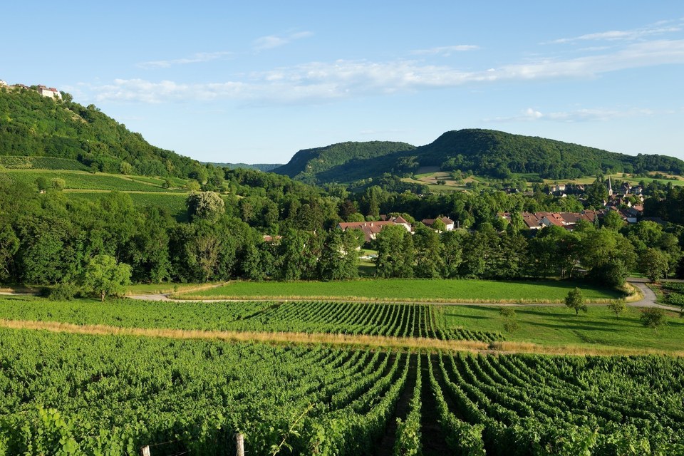 Château-Chalon depuis les vignes de Voiteur