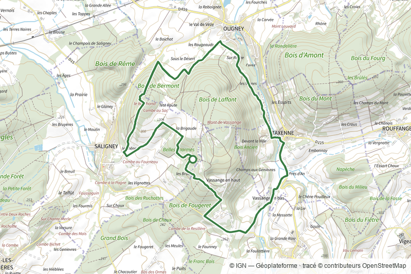 Mont de Vassange