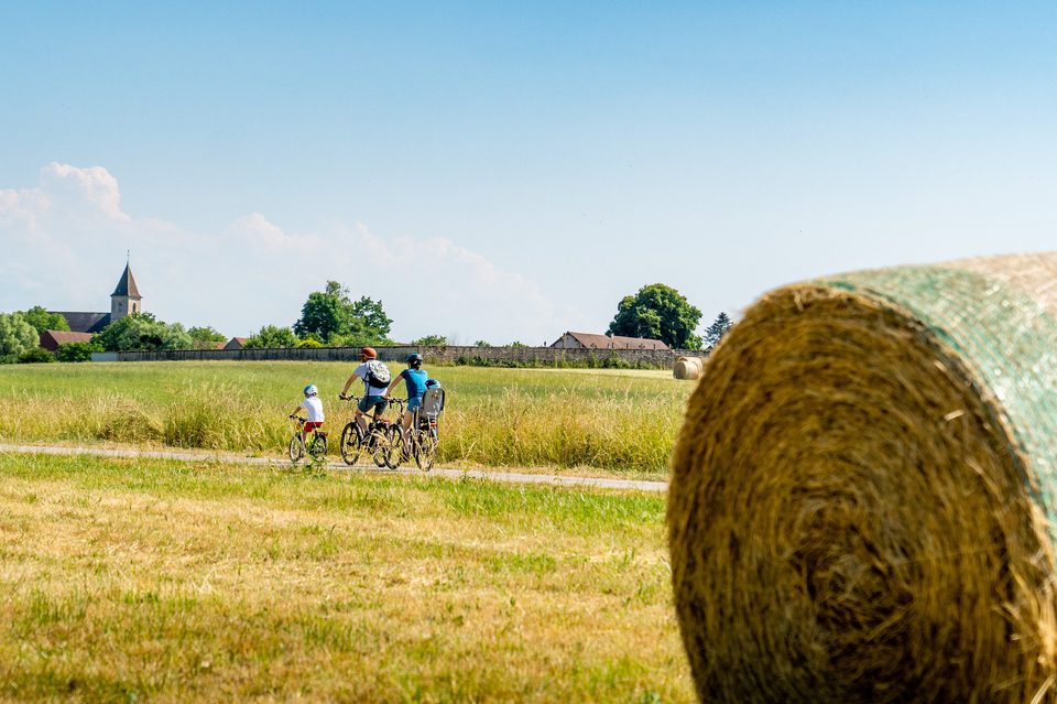 Cyclistes sur la Voie de la Bresse Jurassienne