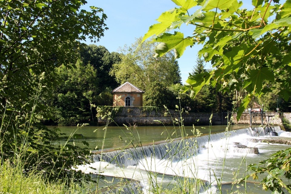 Bords de l'Ain à Champagnole
