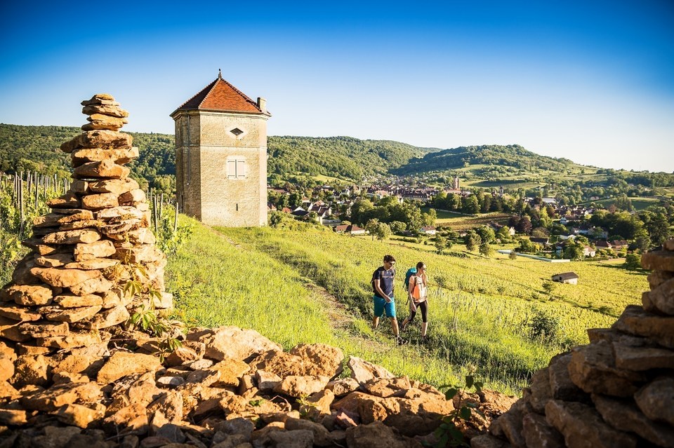 Randonnée à Arbois - Tour Curon