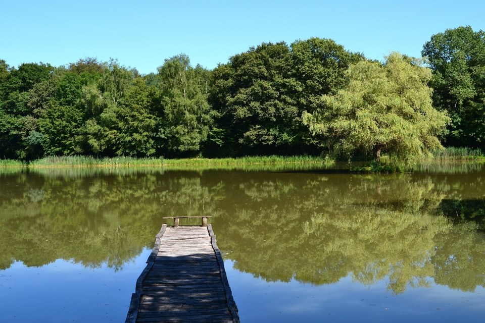 Le Sentier des Étangs de la Bresse Jurassienne