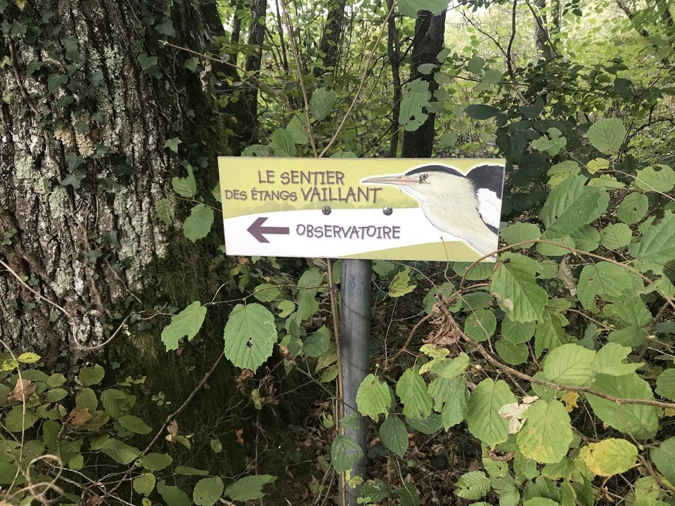Le Sentier des étangs Vaillant, du Crêt et du Fort