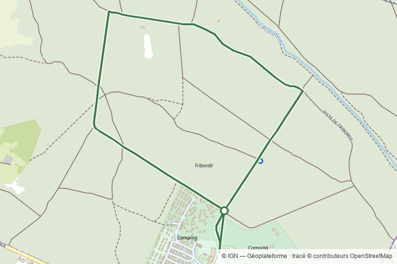 Pinède Ondres vert