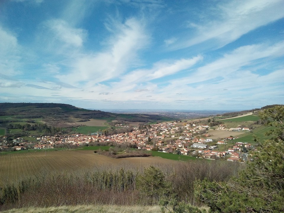 Vignes vers le puy de Pileyre