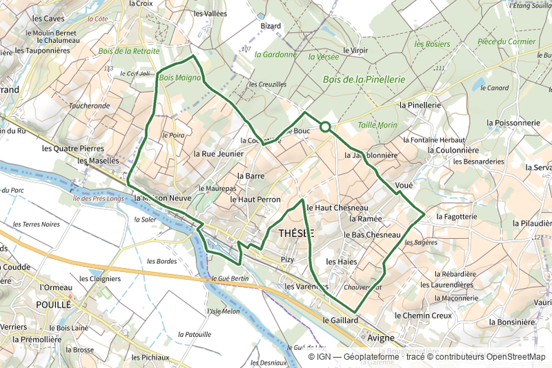 Archéologie et viticulture