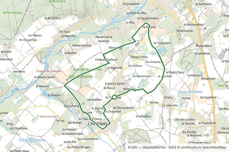 Découverte du vignoble