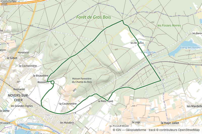 Forêt de Gros Bois
