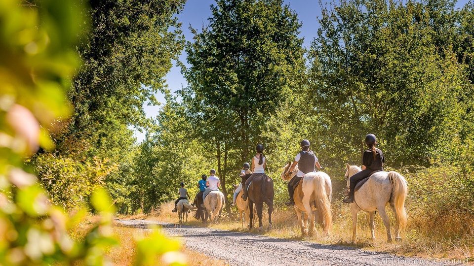 Echappée entre Loire et Forêt
