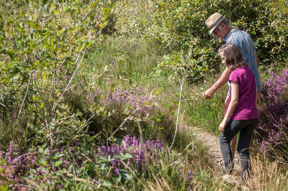 Sentier nature - Le camp des Romains