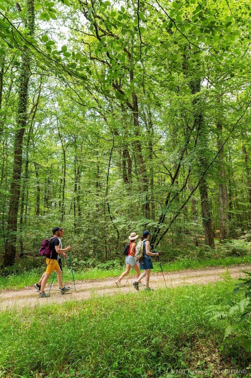 Saint-Benoît-la-Forêt - N°2