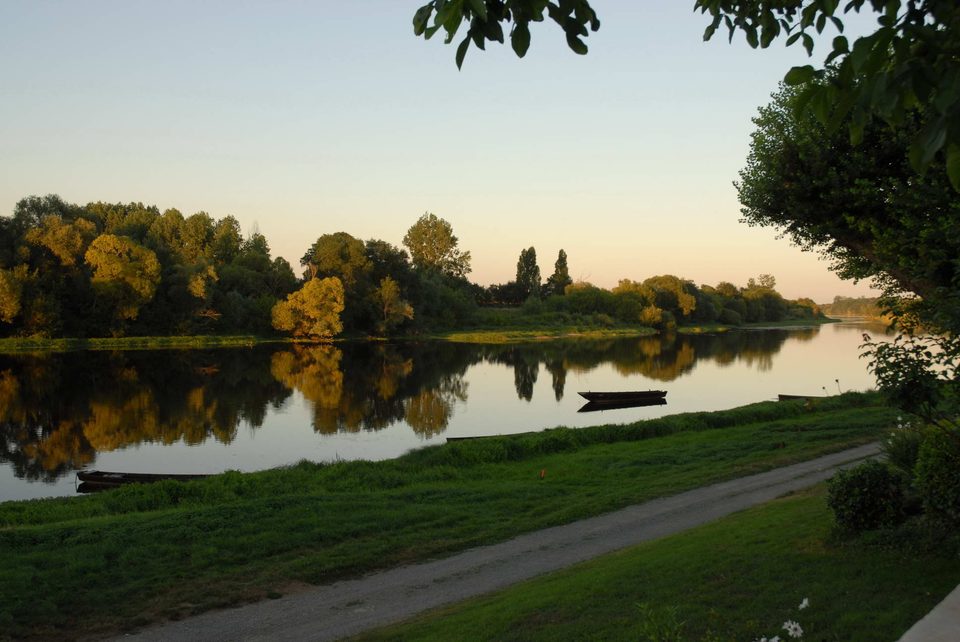 Vienne