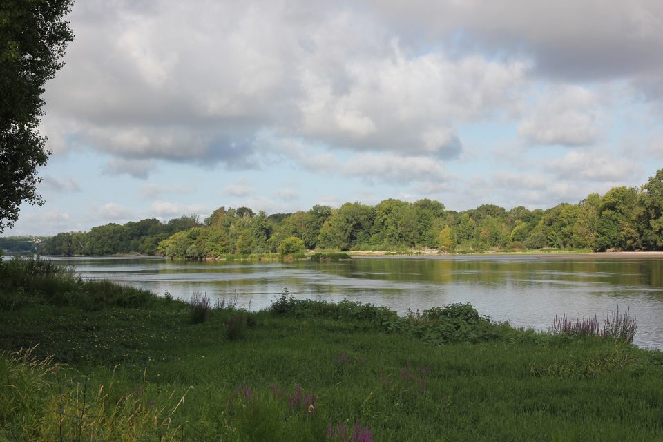 Sentier nature - Bertignolles - Pelouses sèches, Loire et hameau