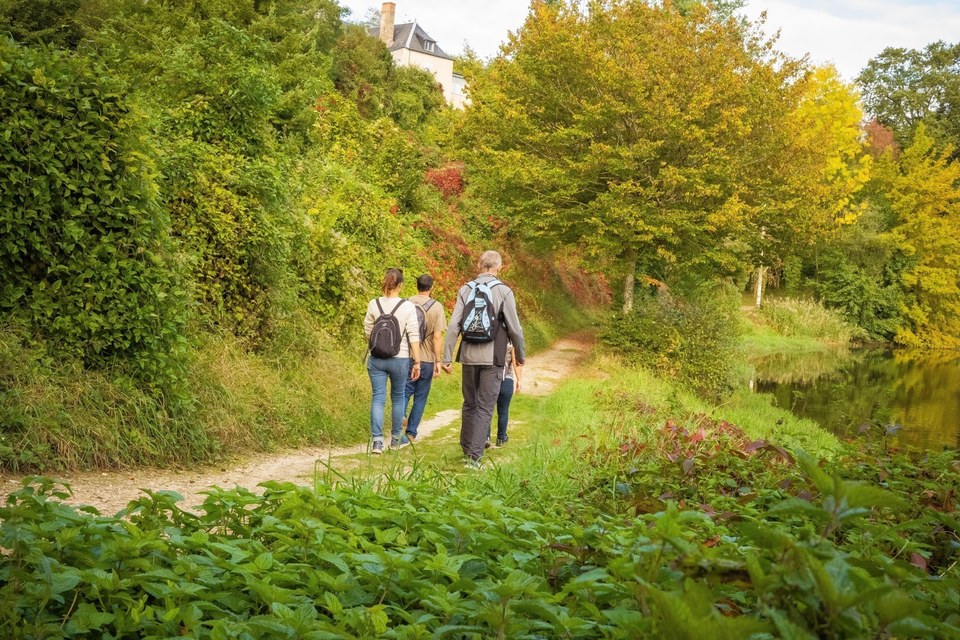 Lublé : Paysage de la campagne tourangelle