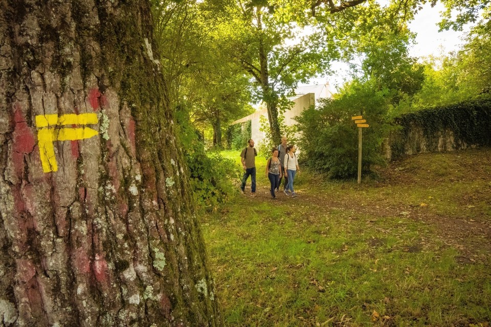 Savigné-sur-Lathan : Falun pour l'autre