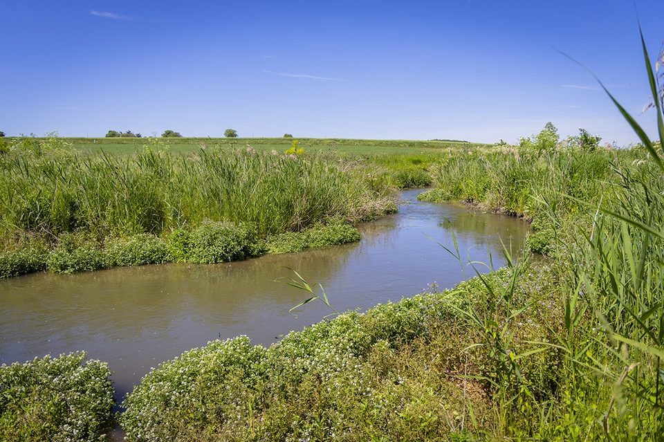 Marais de Taligny visite 05 25 FabB CT7A5469