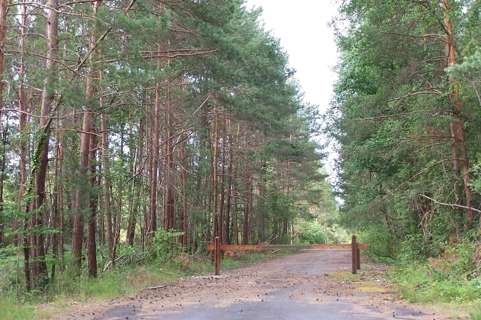 Liaison Forêt de Chinon via Huismes