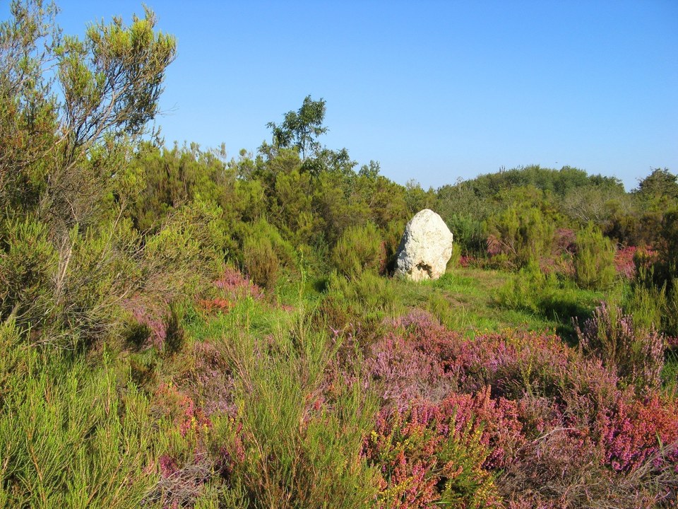 Sur les traces de Rabelais