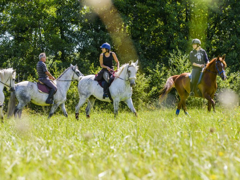 balade-equestre-credit-darrault