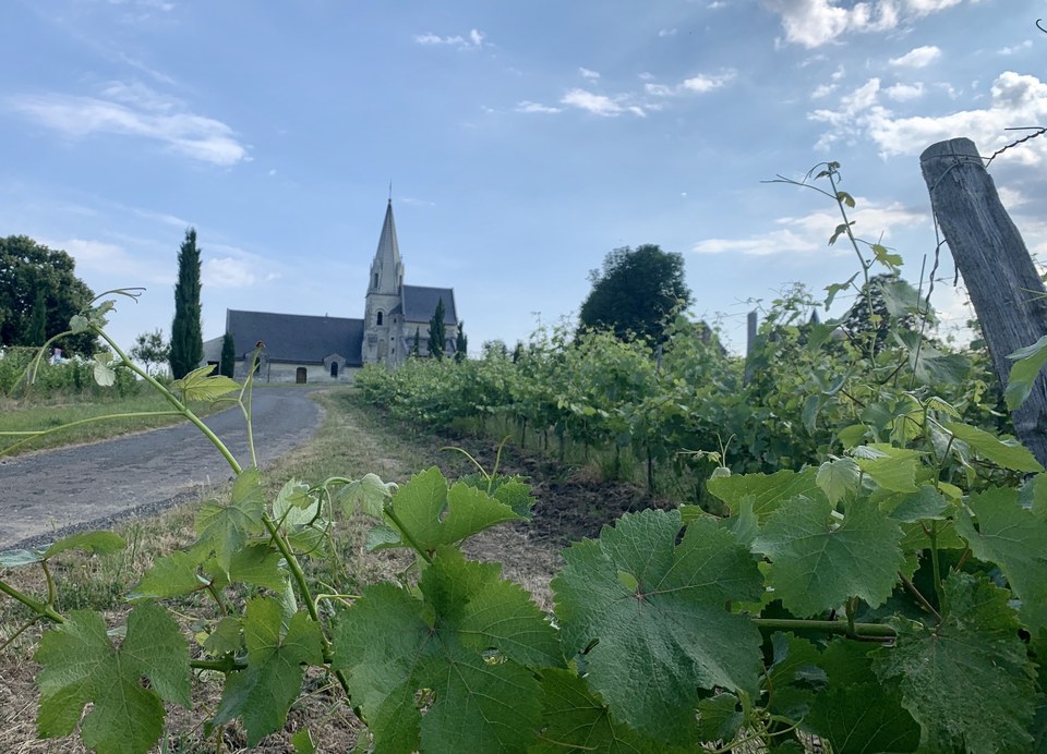 Circuit de randonnée : Parnay, entre Loire et coteaux