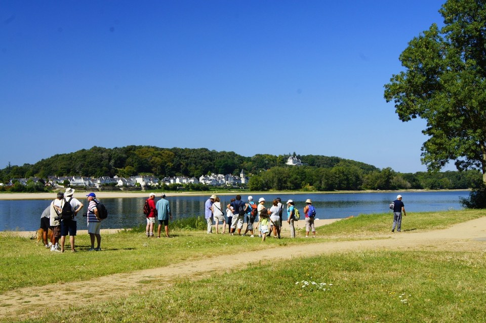 Circuit de randonnée : De la Loire à l'Authion