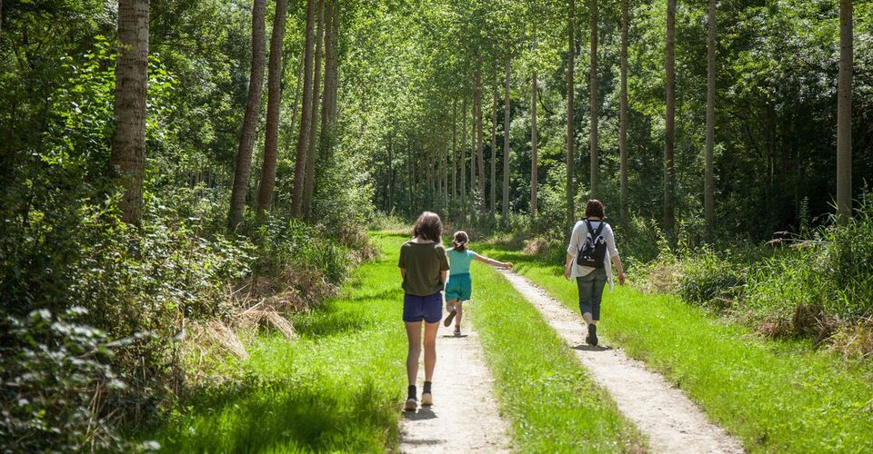Circuit de randonnée : Le chemin des vieilles pierres