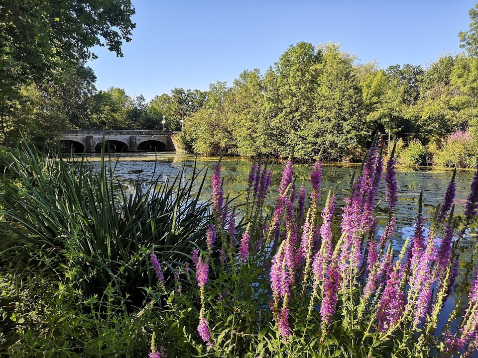 Circuit de randonnée : Entre vigne et charbon