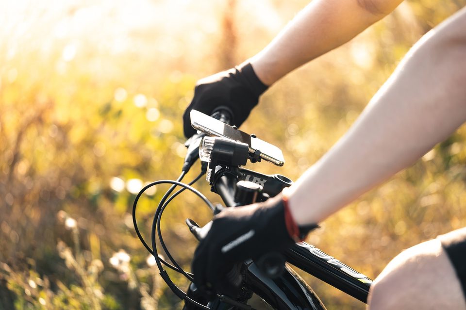 La Loire à Vélo : Parcours Saumur - Les Rosiers sur Loire