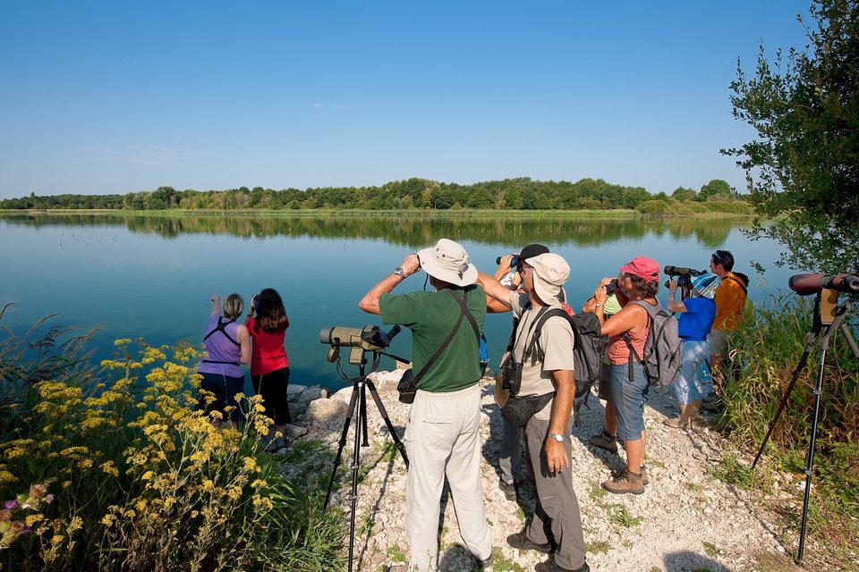 Le lac de Rillé