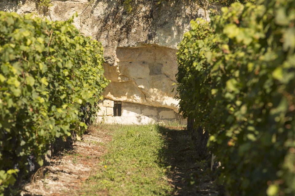 Sentier de découverte – La double vie du coteau