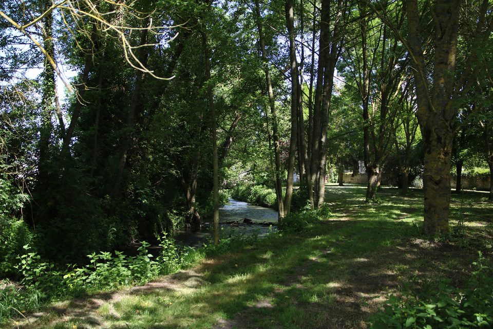 Sentier nature du Couasnon