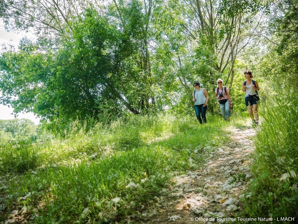 Chemin de l'été de Saint-Martin : étape de Port Boulet à Saint Patrice