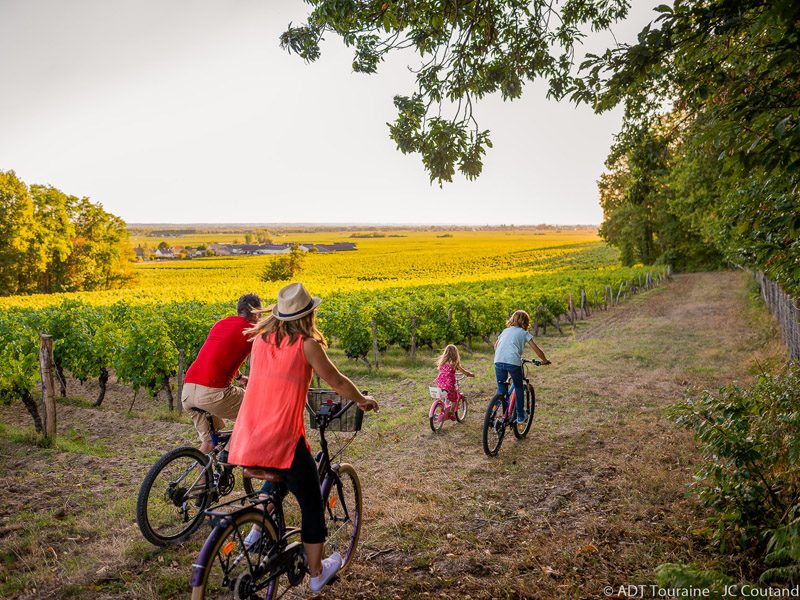Grands crus et belles demeures - Circuit vélo n°23 | variante courte
