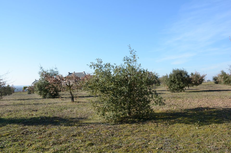Entre ruisseaux et truffières